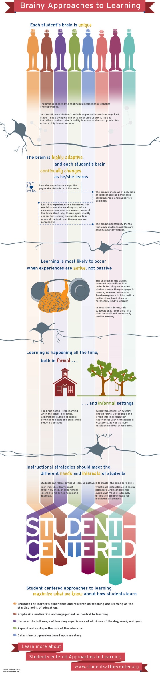 Brainy Approaches to Learning